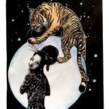 tigre d'eau
