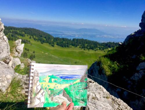 Vue du haut de la Dôle côté Suisse